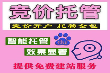 谷歌SEM实战案例：跨境电商广告投放技巧